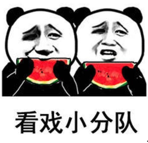 娱乐吃瓜表情包,笑料百出！